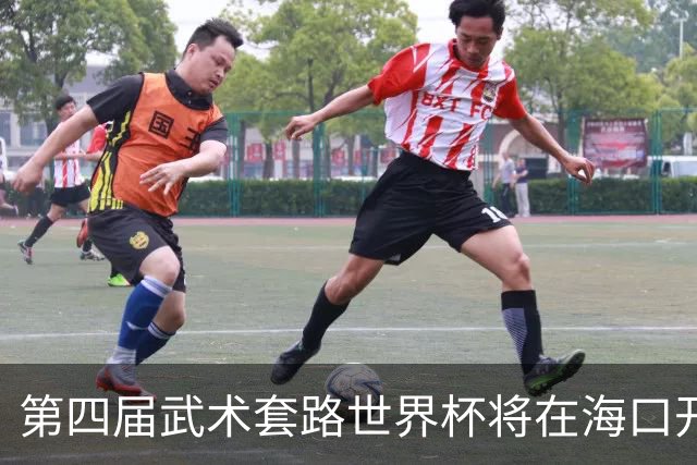 第四届武术套路世界杯将在海口开赛 30多个国家和地区人员参赛